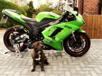 Kawasaki zx6r